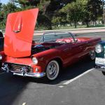 DSC_0041_00041 (October 14, 2023)